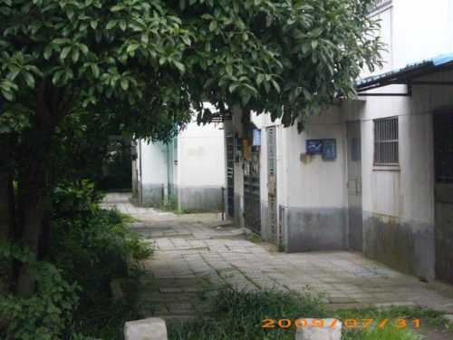 南京风水大师:绿化过度造成气闭不利健康风水
